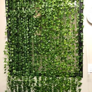 Hanging vines, barely used and in great condition